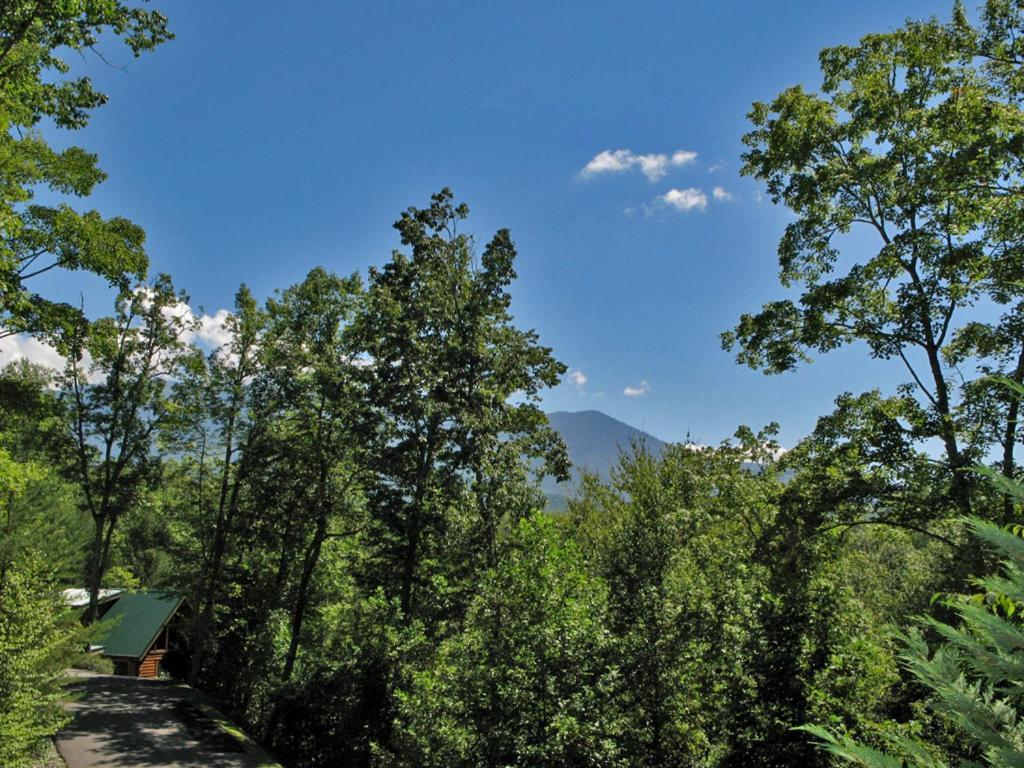 Bear'S Corner, 3 Bedrooms, Wifi, Pool Table, Hot Tub, Wifi, Sleeps 10 Gatlinburg Luaran gambar